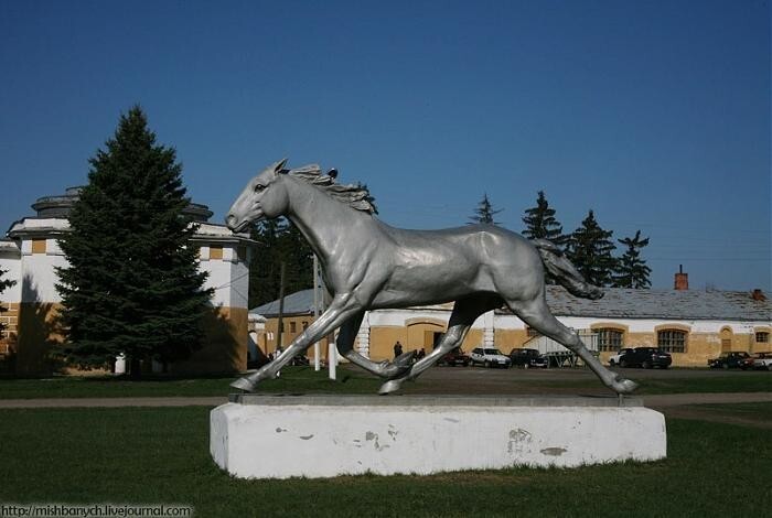 Хреновской конный завод