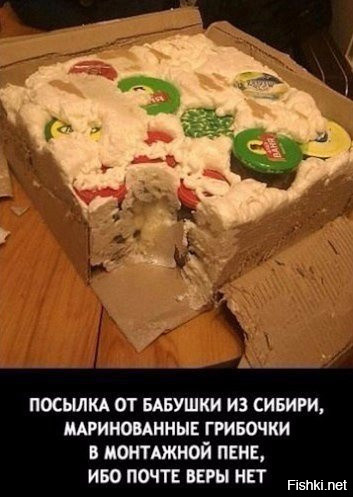 Из солянки