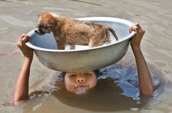 15. Филиппинская девочка пытается спасти щенка во время наводнения
