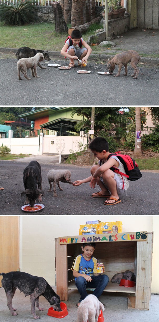 4. 9-летний мальчик устроил в гараже своего дома приют для бездомных животных