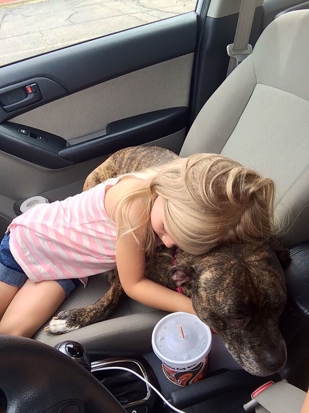 37. Девочка утешает собаку перед визитом к ветеринару