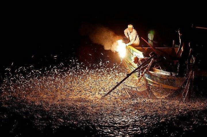 Тайвань, рыбаки на традиционных лодках с помощью огня подманивают рыбу.