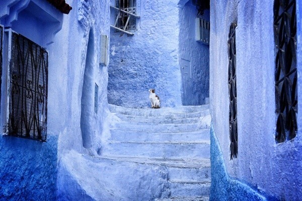 Большинство домов в Медине имеет побеленные стены, а архитектура похожа на синтез испанской и мавританской архитектуры. Кажется уникальным, что все здания в этой части города покрашены в голубой цвет. Такая мода на покраску стен была введена в городе