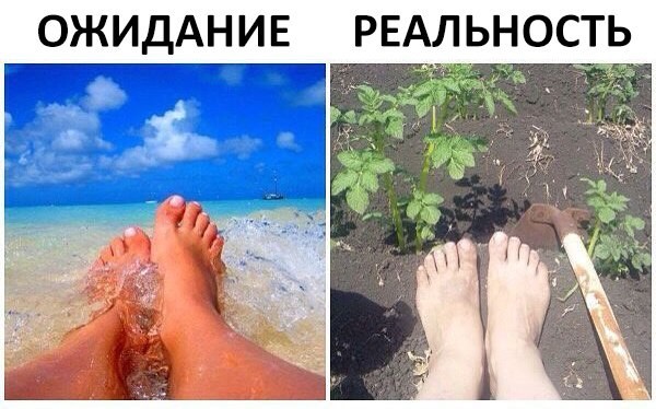 Смешные и пошлые картинки 