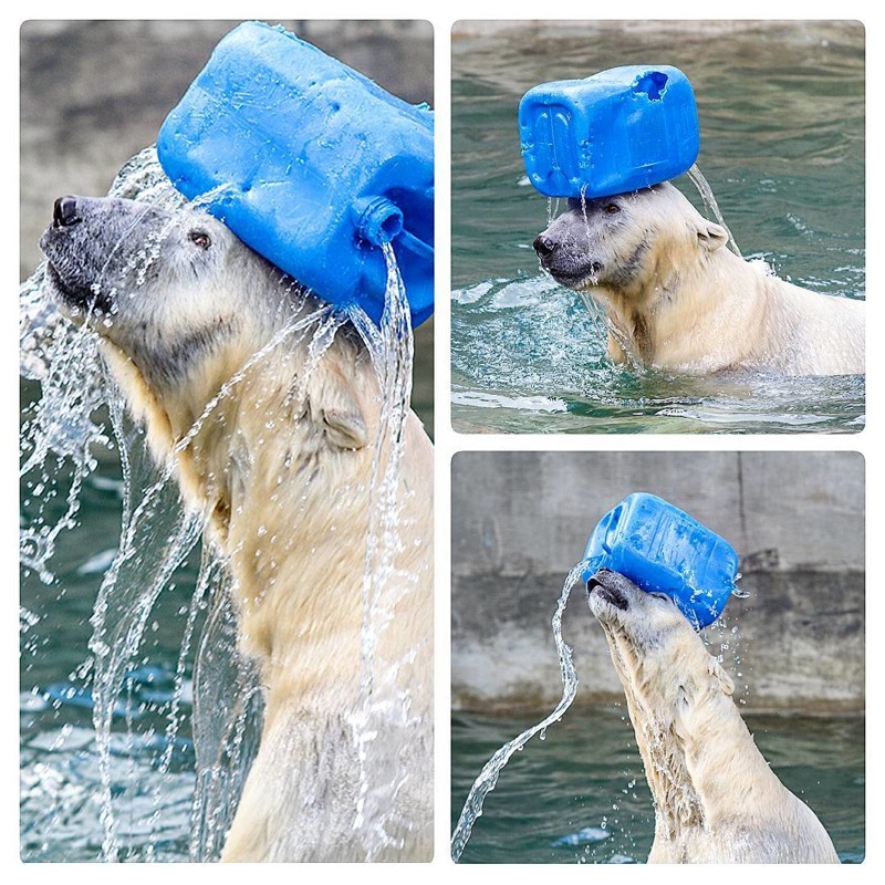 Лето настоящее