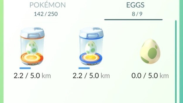 2. При инкубации яиц километры не будут засчитываться, если вы перемещаетесь со скоростью быстрее 20 км/ч. 
