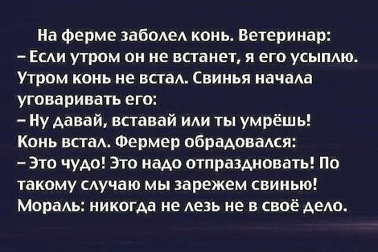 Смешные картинки с надписями