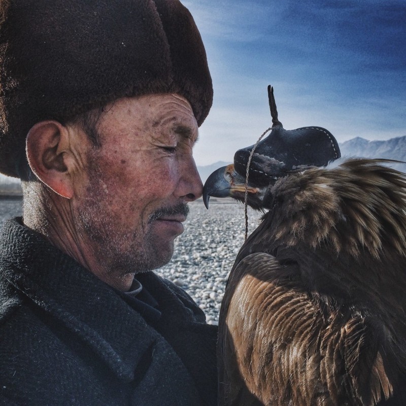 Потрясающе! Лучшие фотографии в мире, сделанные на айфон