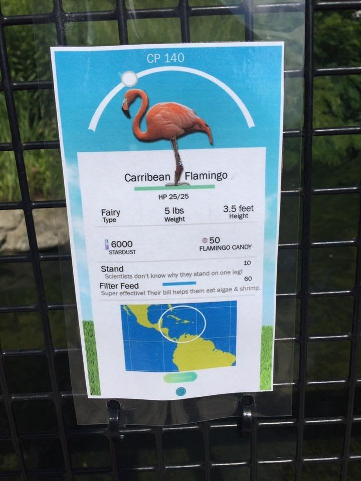 Работница зоопарка поддалась моде и оформила информацию о животных в стиле Pokemon GO