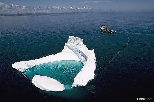 В Ньюфаундленде (Канада) айсберги собирают, как урожай