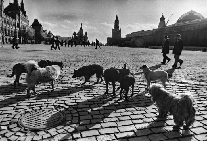 Фотограф Геннадий Михеев: Москва в лихие девяностые