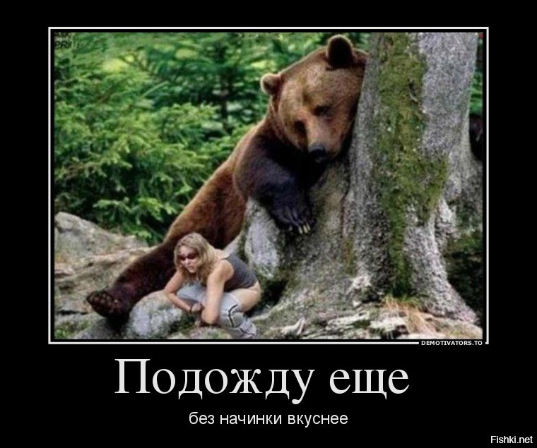 Если вы заблудились в лесу и очень устали: найдите медведя, бросьте в него ка...