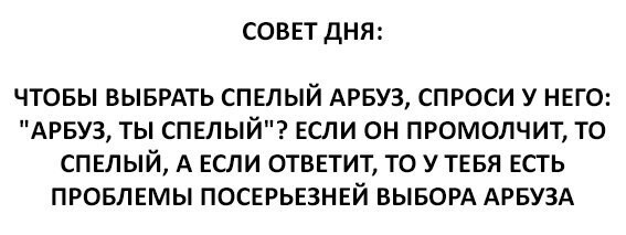 Смешные комментарии и высказывания из социальных сетей 