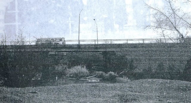 Мост через Чесноковку.