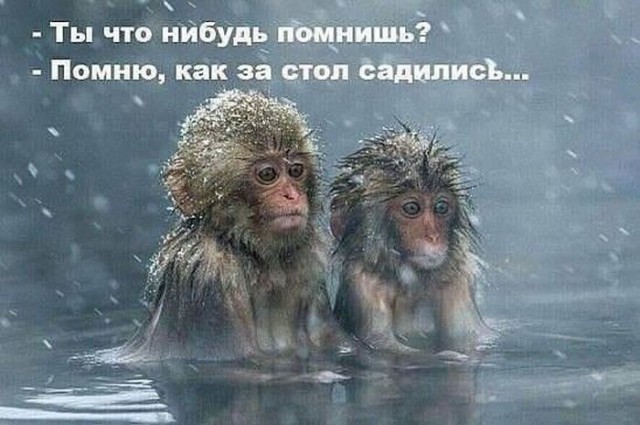 Смешные картинки 