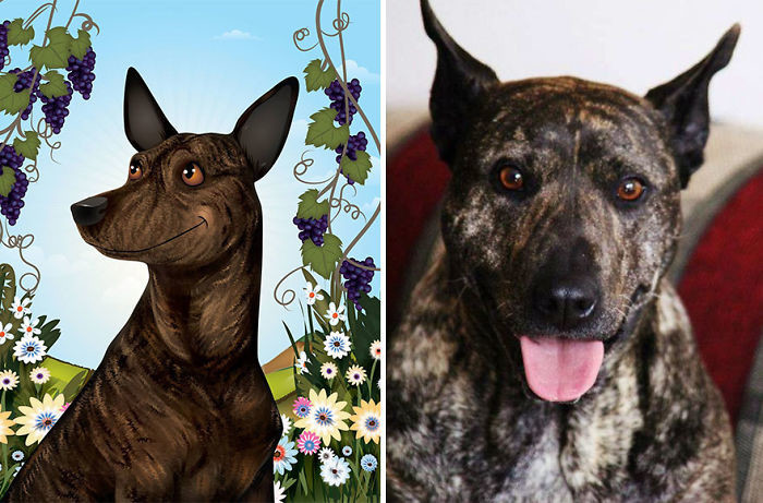 Иллюстратор создает милые и забавные "мультяшные" портреты домашних животных