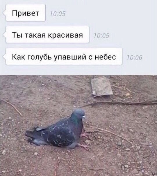 Ужасы и приколы из соцсетей