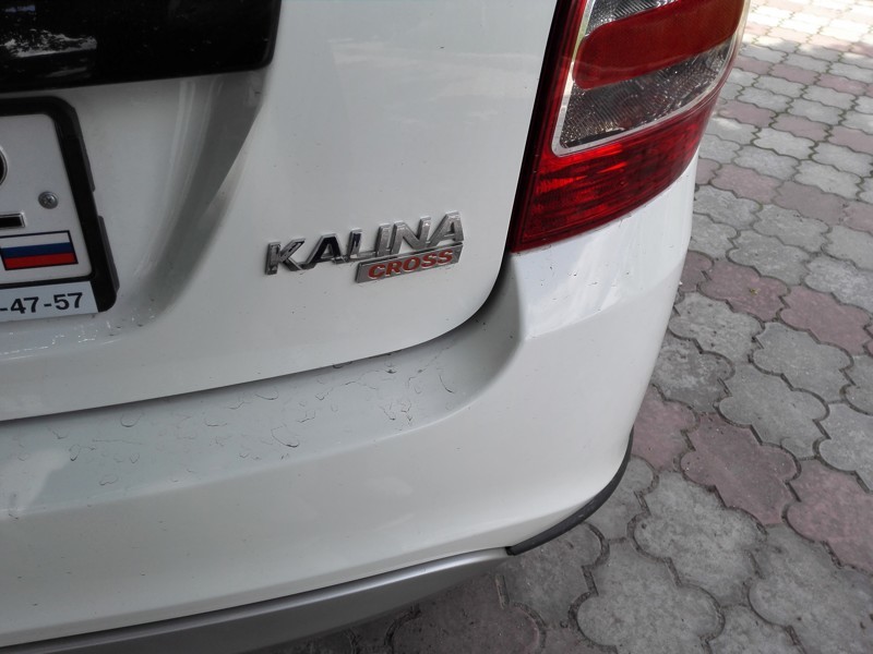 Калина кроссная