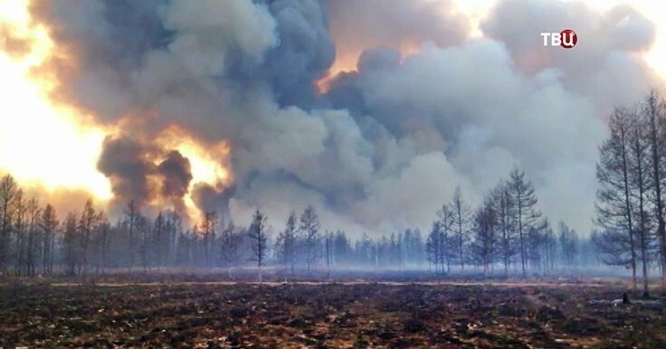 Лесные пожары в Сибири и на Ямале