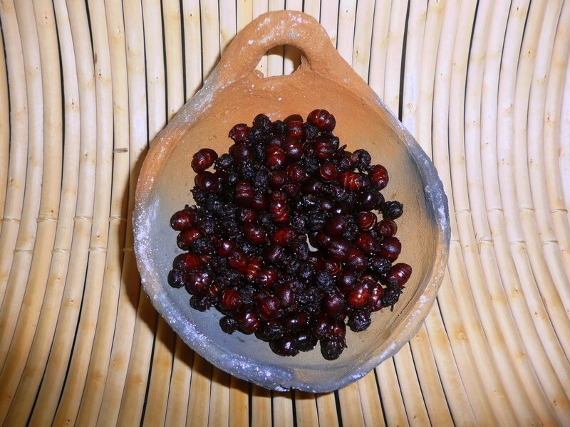 а в Сантандере можно попробовать блюдо "Ормигас-кулона" - жареные муравьи особого вида.