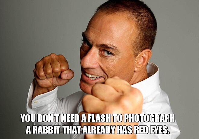 Нет нужды фотографировать кролика со вспышкой, у него и так глаза красные.