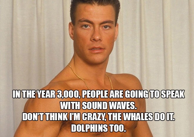 В 3000 году люди будут разговаривать звуковыми волнами. Не думайте что я сошёл с ума, киты так разговаривают и дельфины тоже.