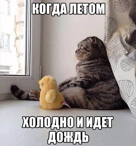 Подборка классных приколов
