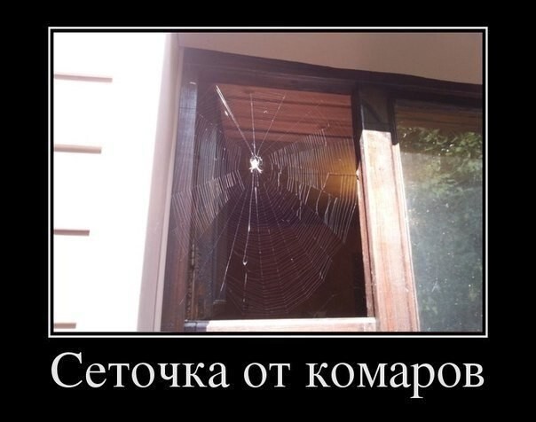 Подборка классных приколов