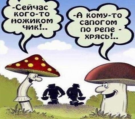 Подборка классных приколов