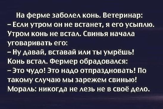 Подборка классных приколов