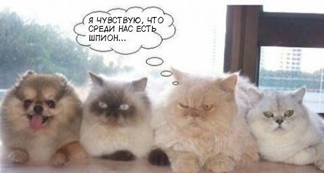 Подборка классных приколов