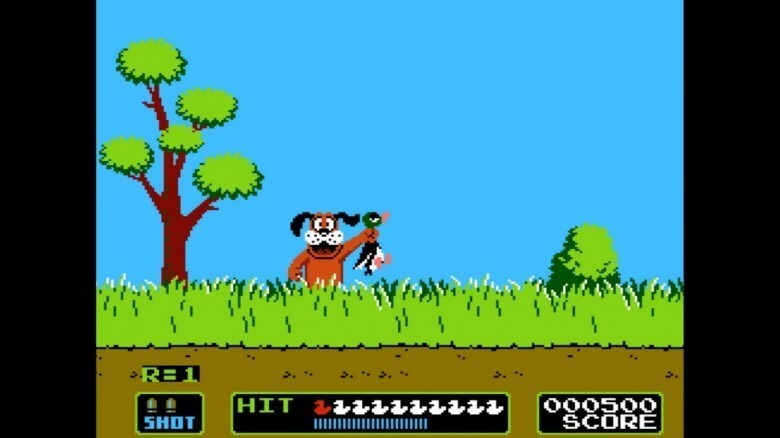 11. Duck Hunt