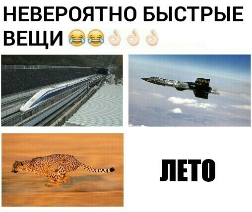 Смешные и пошлые картинки 