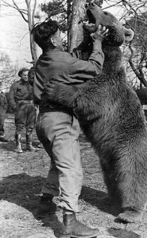 3. В Алабаме запрещен бой с медведем.