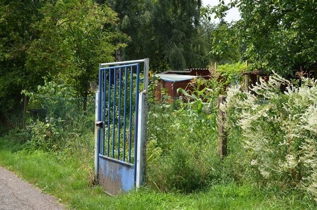 Немецкие дачи: они существуют - маленькие и без удобств