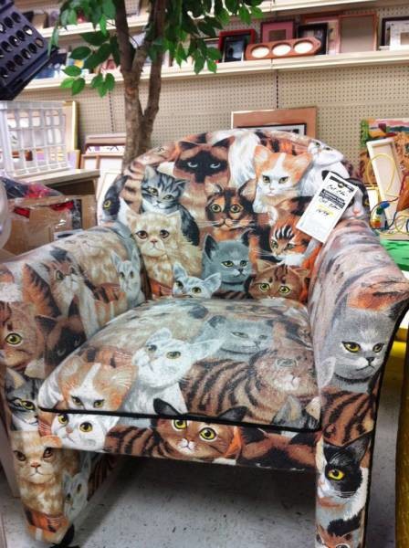 Кресло с котиками