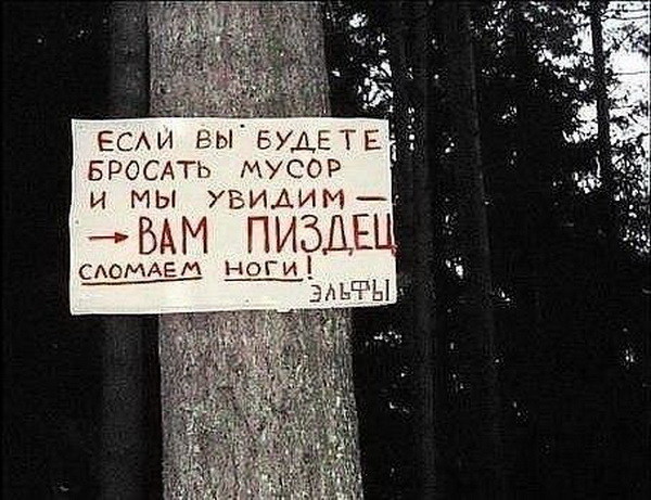 С эльфами шутки плохи