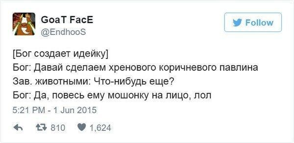 Индейка