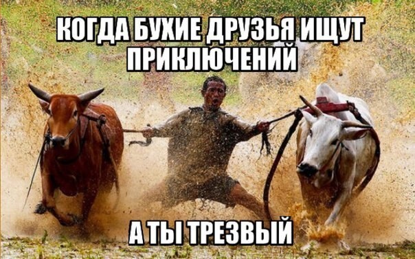 Подборка смешных приколов