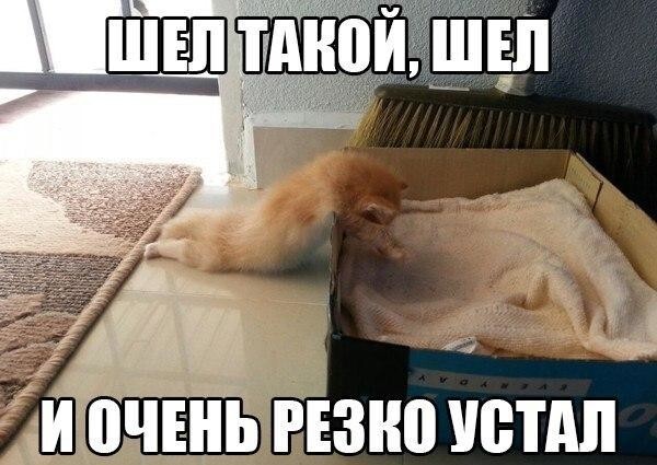Подборка смешных приколов