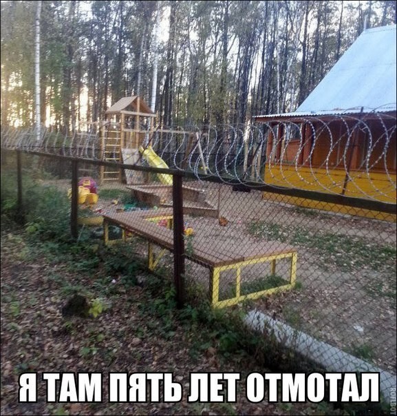Подборка смешных приколов