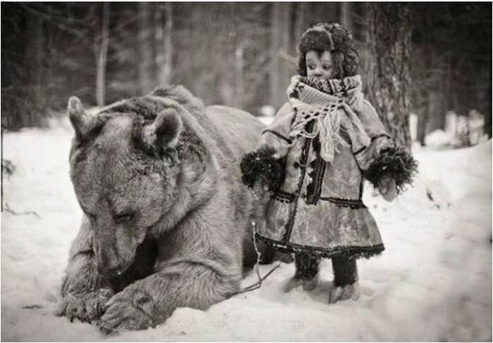 Медведь в России больше чем медведь
