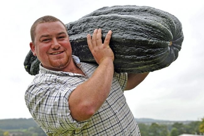 Овощи гиганты-рекордсмены