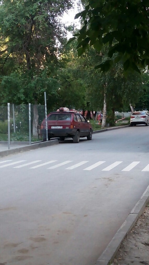 Они знают толк в пляжном отдыхе