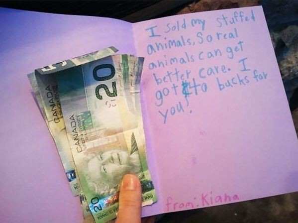 Девочка продала мягкие игрушки и пожертвовала вырученные деньги в местный фонд защиты животных