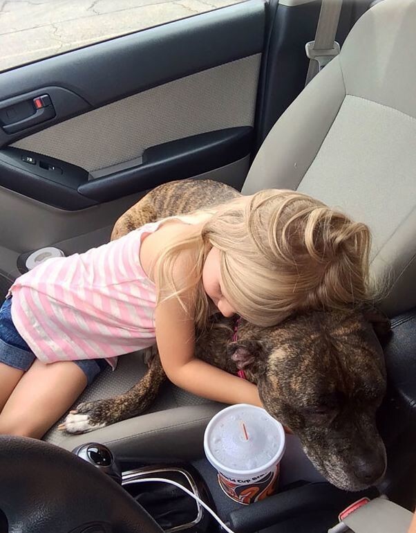 Девочка утешает собаку перед визитом к ветеринару