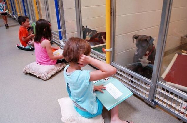 Дети читают вслух бездомным собакам в приюте