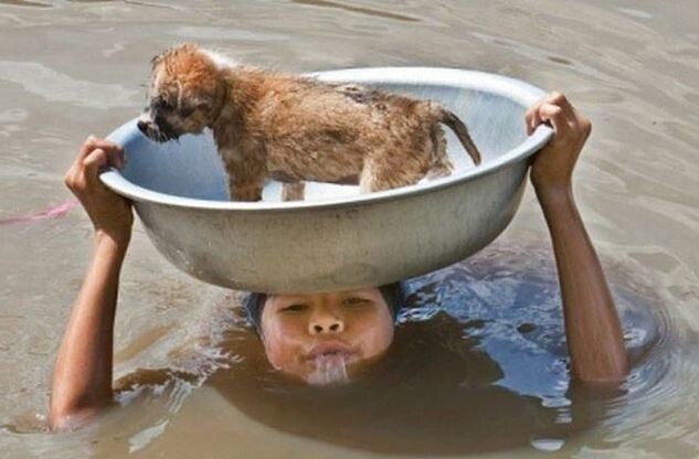 Филиппинская девочка пытается спасти щенка во время наводнения