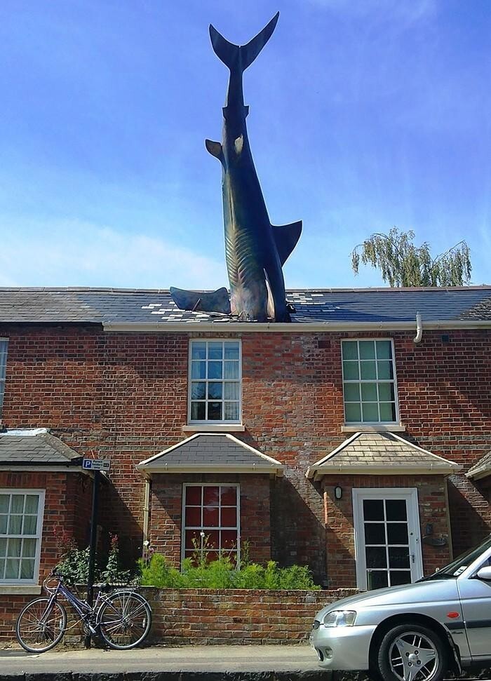 Хедингтонская акула, Оксфорд, Англия