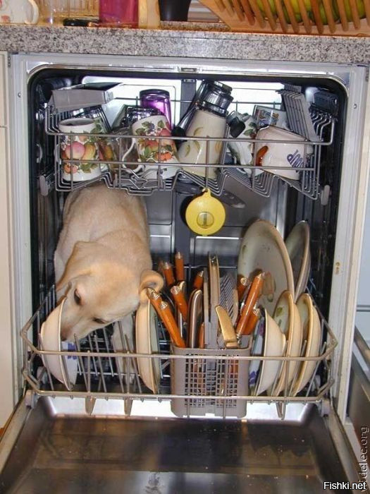 Принцип работы посудомоечной машины))